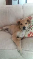 Oliver