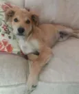 Oliver