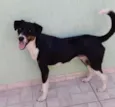 Não Tem Nome