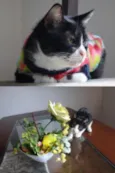 Mamita e seus filhos
