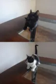 Mamita e seus filhos