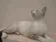 menina