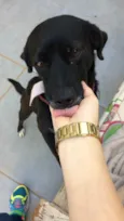 Pretão