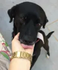 Pretão