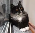 Skye