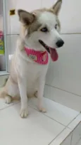 Kiara