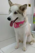 Kiara