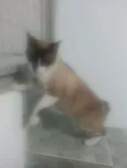 Fred