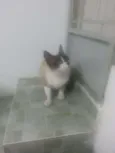 Fred