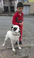 branquinho