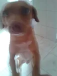 Fred