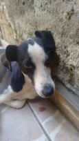 Juli