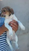 Sem nomeio