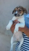 Sem nomeio