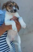 Sem nomeio