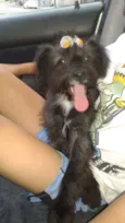 Bella