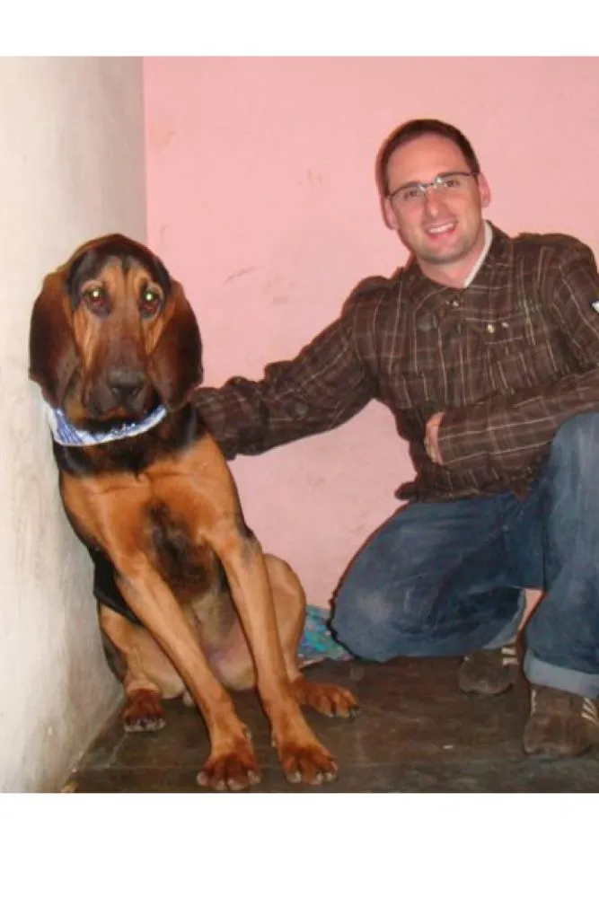 Cachorro ra a BloodHound idade 6 ou mais anos nome Bruce