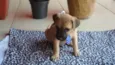 MARLEY