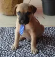 MARLEY