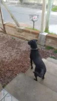 Apolo