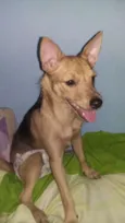 Bella