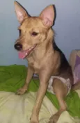 Bella