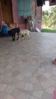 Hommer e Penelope