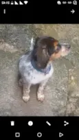 Billy