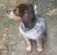 Billy