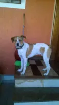 Spike