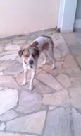 Spike
