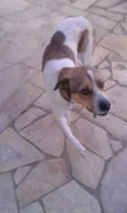 Spike