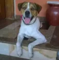 Spike