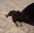 Kiko