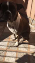 Aika