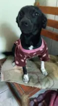 Menina