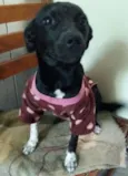 Menina