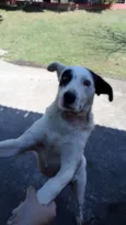 TONY