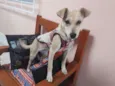 Zoe