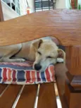 Zoe