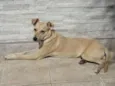 Zoe