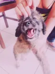 Julie