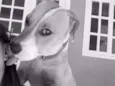 Mel