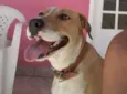 Mel