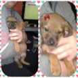 Lunna