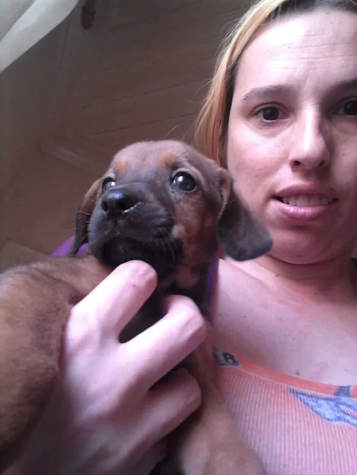 Cachorro ra a Srd idade  nome Lunna