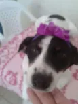 Molly