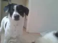 Molly
