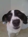 Molly