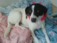 Molly